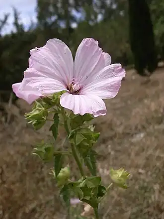 alternativní popis obrázku chybí