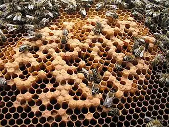 alternativní popis obrázku chybí