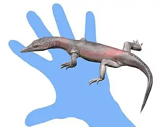 alternativní popis obrázku chybí