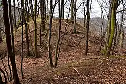 Celkový pohled na hradní jádro