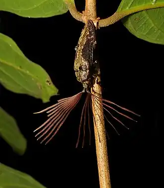 popis obrázku chybí