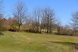 Valy raně středověkého hradiště