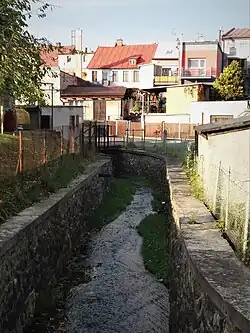 Ledhujka v Polici nad Metují