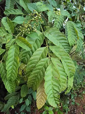 alternativní popis obrázku chybí