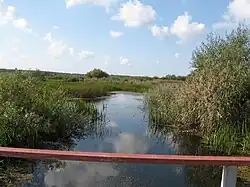 Leitė u vsi Paleičiai