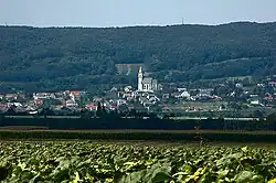 Pohled na Litavské vrchy