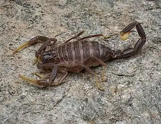 alternativní popis obrázku chybí