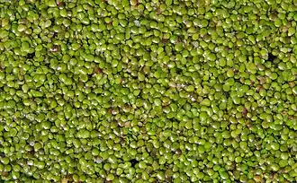 alternativní popis obrázku chybí