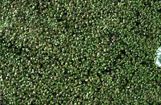 alternativní popis obrázku chybí