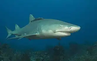 alternativní popis obrázku chybí