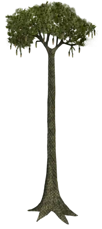 alternativní popis obrázku chybí