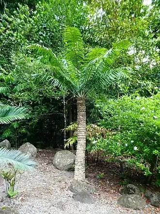 alternativní popis obrázku chybí