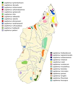rozšíření lemurů rodu Lepilemur
