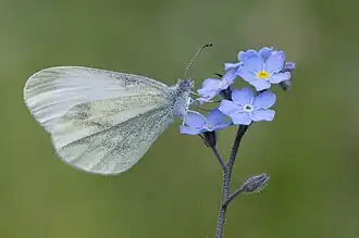 alternativní popis obrázku chybí