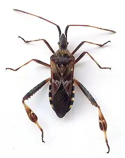 alternativní popis obrázku chybí