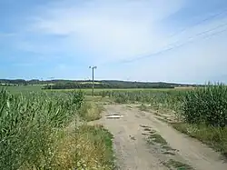 Příměstský les Žampich