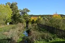 Leska v Kněžicích