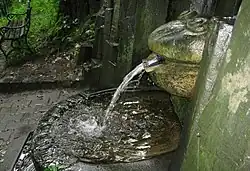 „Hlava žáby“ – detail (2011)