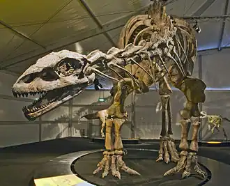 alternativní popis obrázku chybí