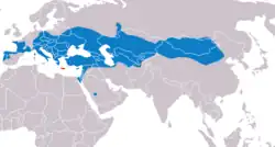 Areál rozšíření