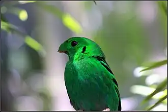 alternativní popis obrázku chybí