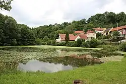 západní část vesnice na pozadí rybníka