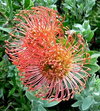 alternativní popis obrázku chybí