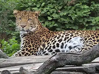 alternativní popis obrázku chybí