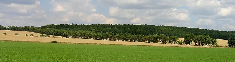 Kaštanka v srpnu 2009