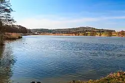 Lhotský rybník u Ostružna