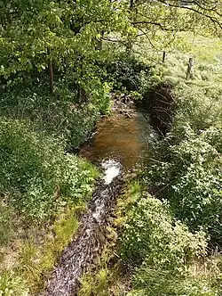 Liščí potok severně od Lipové