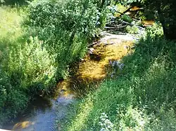 Liaudė u Surviliškisu