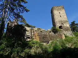 Zřícenina hradu Libštejn