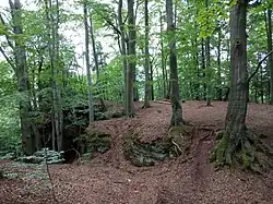 Skalní ostroh se zbytky hradu Rechenburk