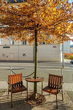 Lavička u knihovny v Liberci