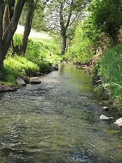 Libuňka v Doubravicích