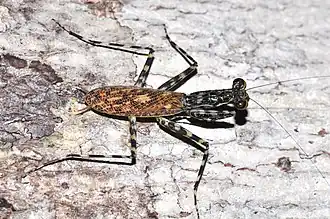 alternativní popis obrázku chybí