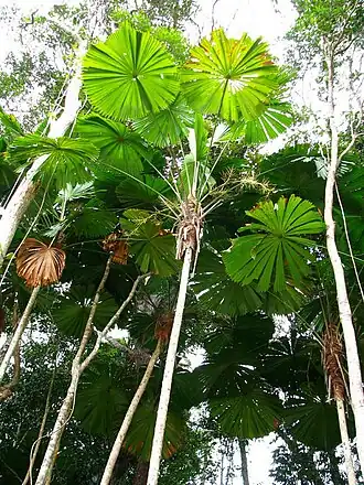 alternativní popis obrázku chybí