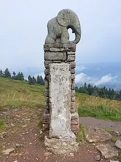 Trasa 7274 prochází kolem soky slůněte na Králickém Sněžníku