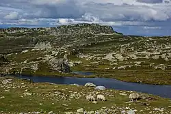 Pohled na jezero Sautjønn a horu Øysteinnatten od jihu (2019)