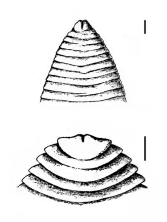 popis obrázku chybí
