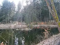 Liliový rybník v roce 2016