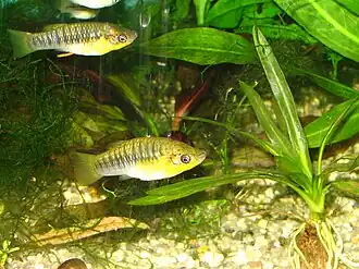 popis obrázku chybí