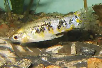 popis obrázku chybí