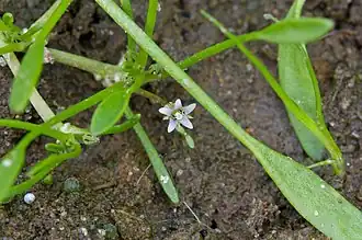 alternativní popis obrázku chybí