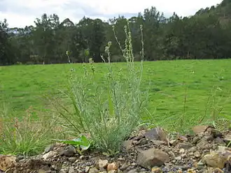 alternativní popis obrázku chybí