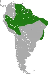 rozšíření vačice trpasličí