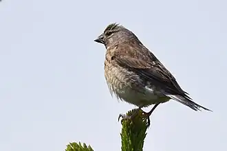 alternativní popis obrázku chybí