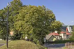 Pohled od jihu, od smuteční síně (2018)