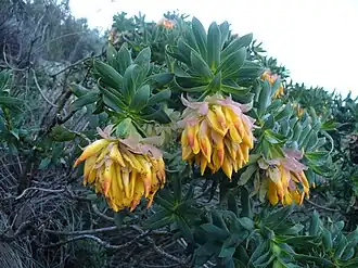 alternativní popis obrázku chybí